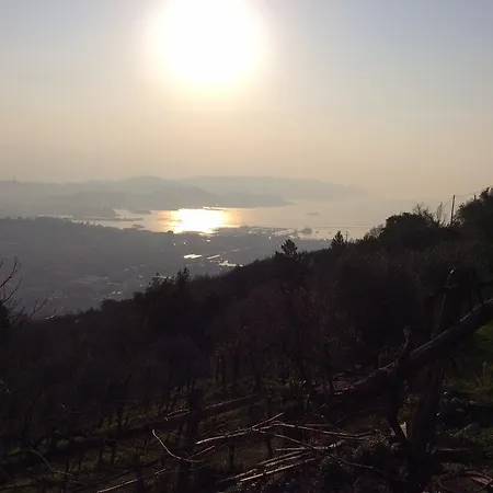 Affittacamere Belvedere *